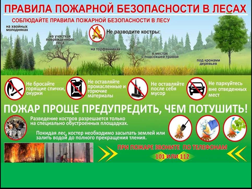 Памятки: Правила пожарной безопасности в лесах.